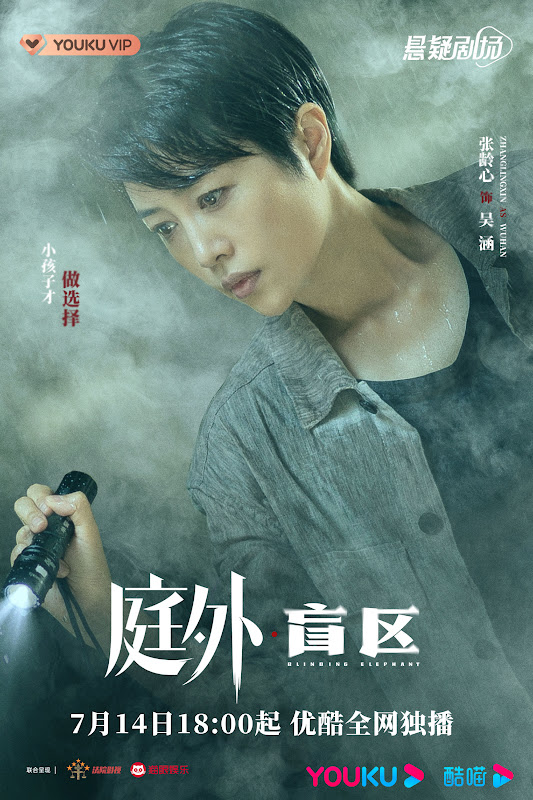 Out of Court: Blinding Elephant and The Last Straw China Web Drama